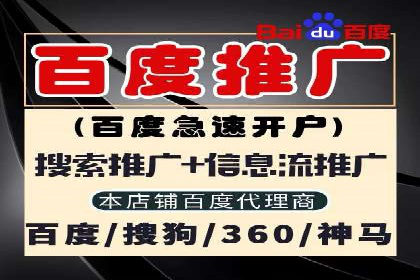 百度推广排名大揭秘：某电商平台的成功之路